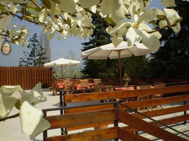 Bed and Breakfast Vadregeny Panzio Esztergom Exterior foto