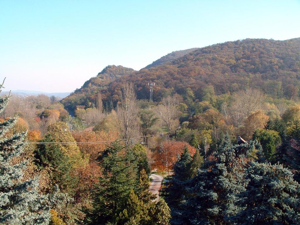 Bed and Breakfast Vadregeny Panzio Esztergom Exterior foto