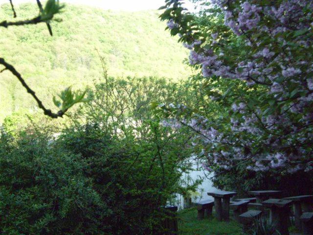 Bed and Breakfast Vadregeny Panzio Esztergom Exterior foto